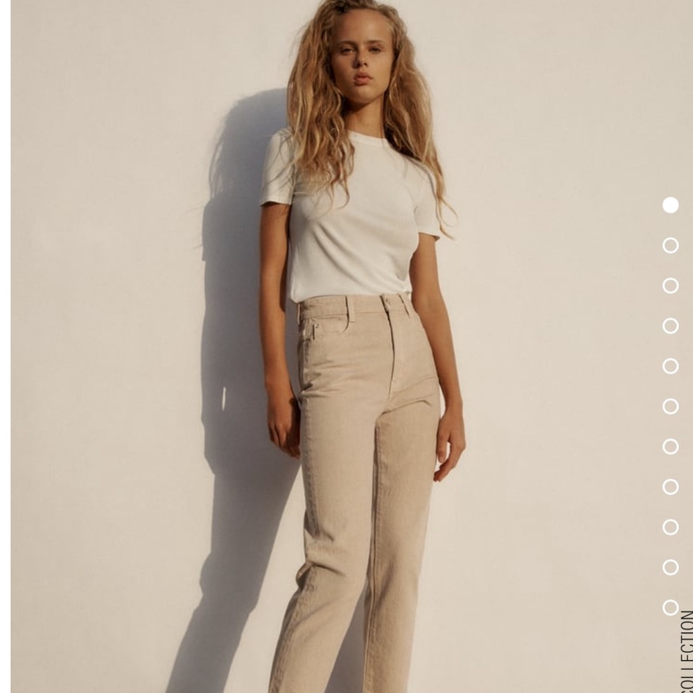 Zara tan pants
